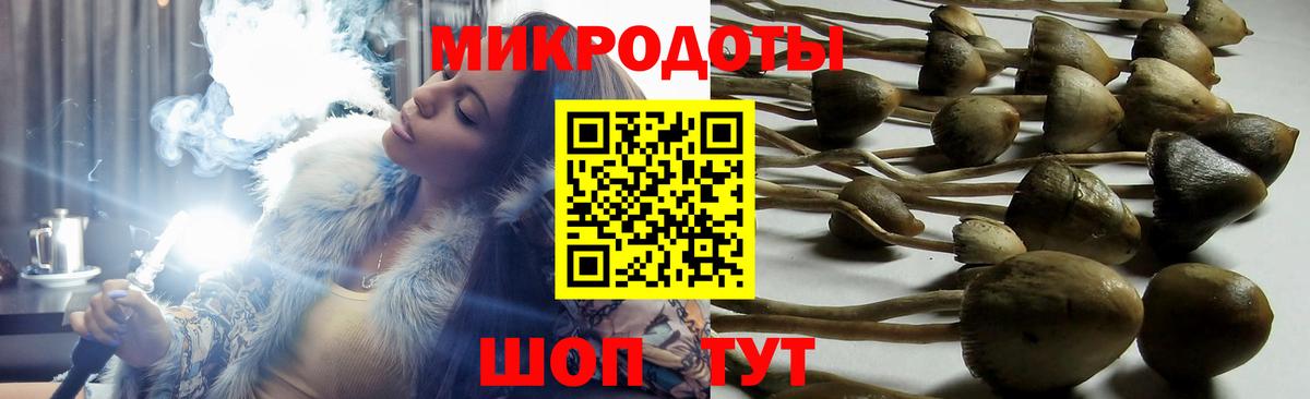Псилоцибиновые грибы GOLDEN TEACHER  Вход с VPN  Мытищи 